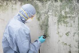 Best Water Damage & Mold Remediation  in Captains Cove, VA